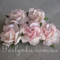 Троянда 4,5см біло рожева