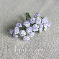 Троянда 1см біло-фіолетова