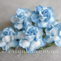 Троянда 4,5см біло-голуба