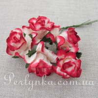 Троянда 4см кучерява біло-бордова