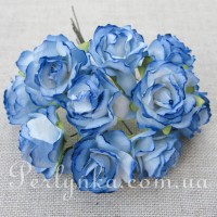 Троянда 3см біло-синя