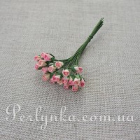 Бутон троянди кремово-рожевий